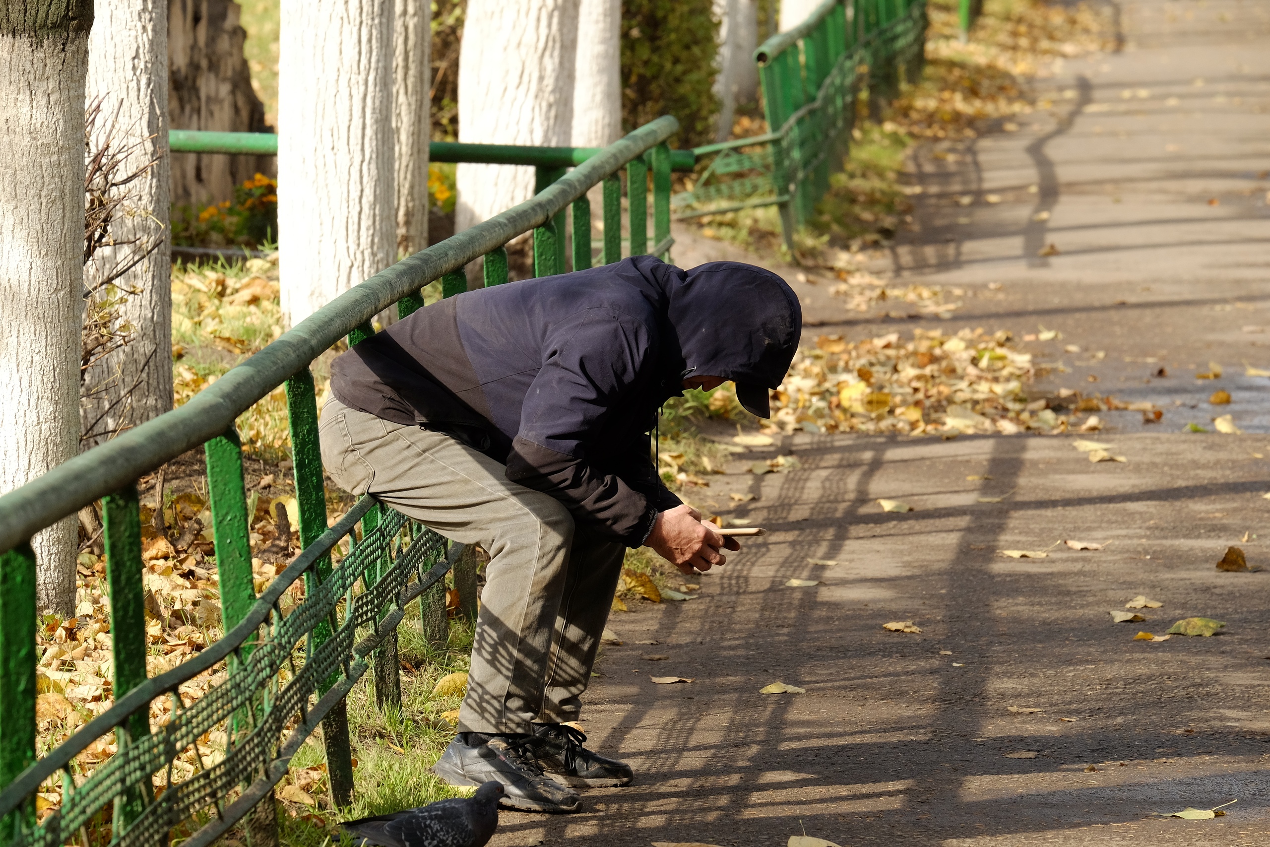 Ещё 400 тысяч рублей потеряли жители Марий Эл из-за телефонных мошенников -  ГТРК