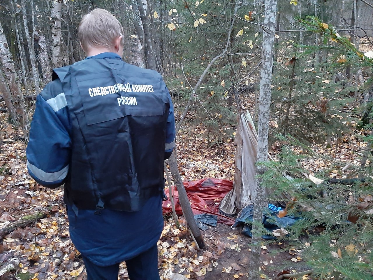 В лесу Звениговского района найдено тело пропавшего в 2019 году мужчины