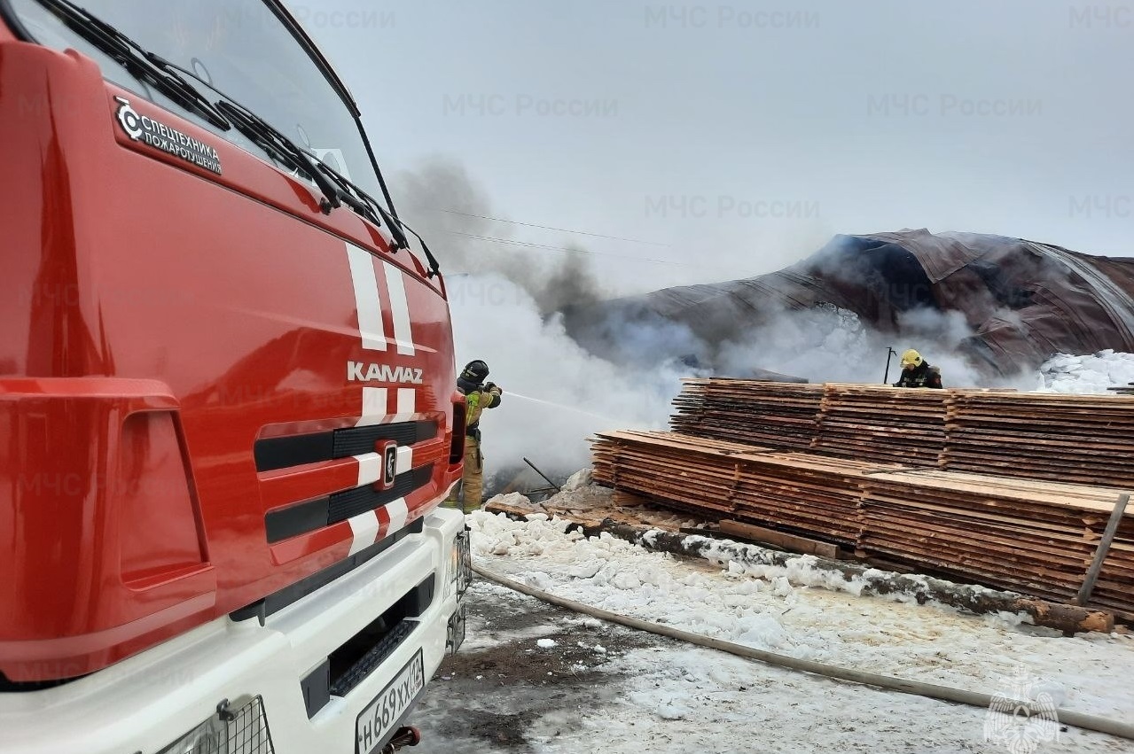 Стали известны подробности пожара на промышленных складах в Медведеве