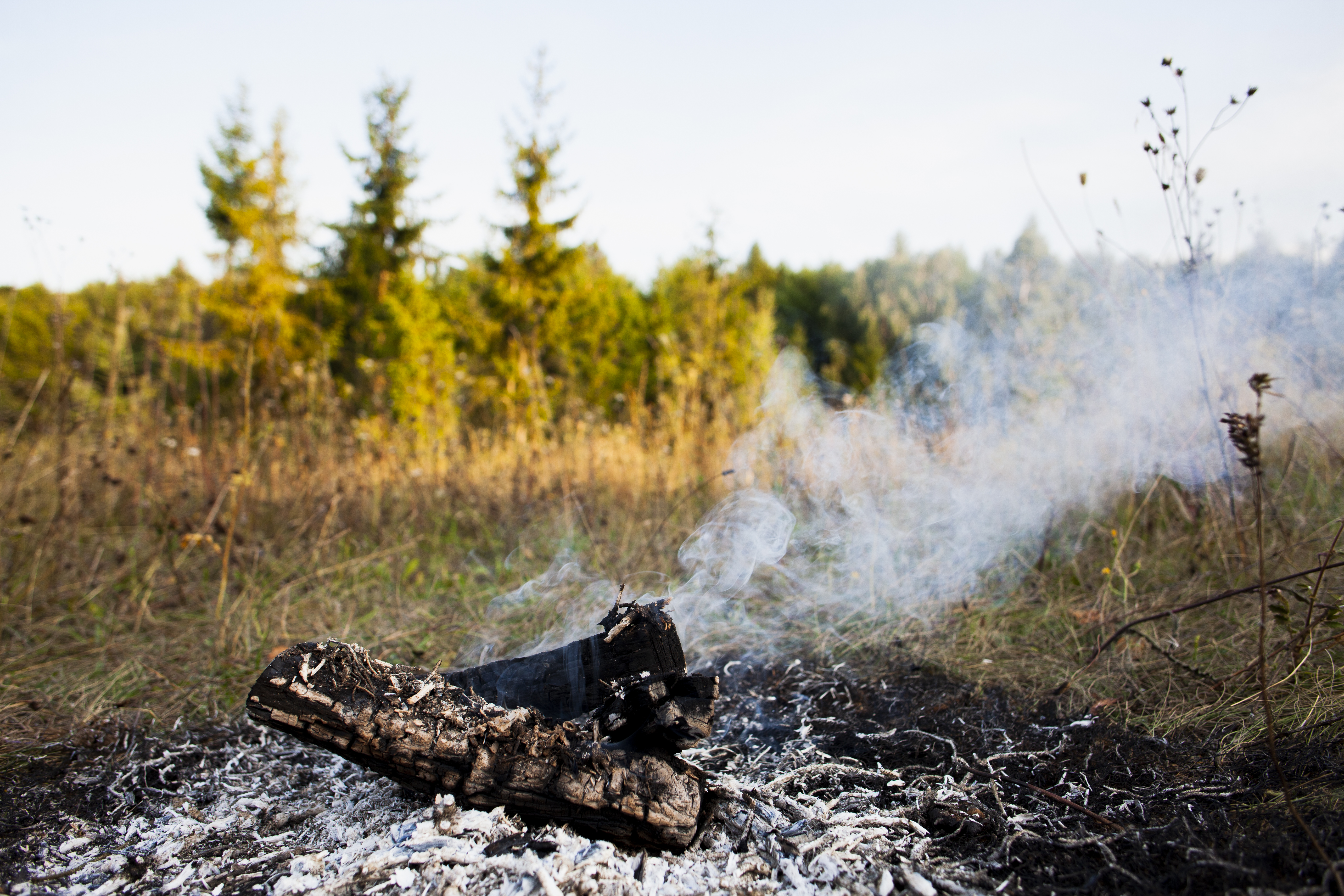 57 возгораний произошло в лесах Марий Эл с начала пожароопасного сезона