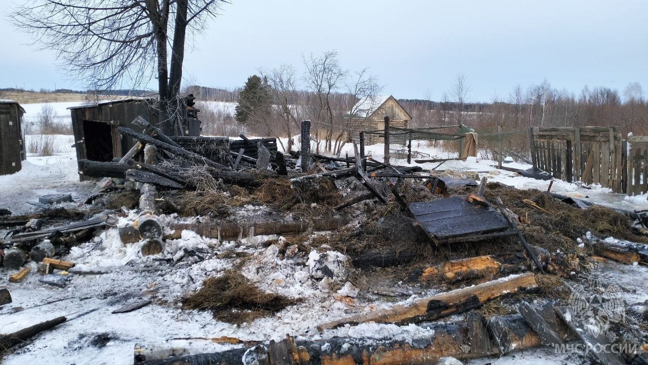 При пожаре в Горномарийском районе погибли козы, кролики, куры и утки - ГТРК