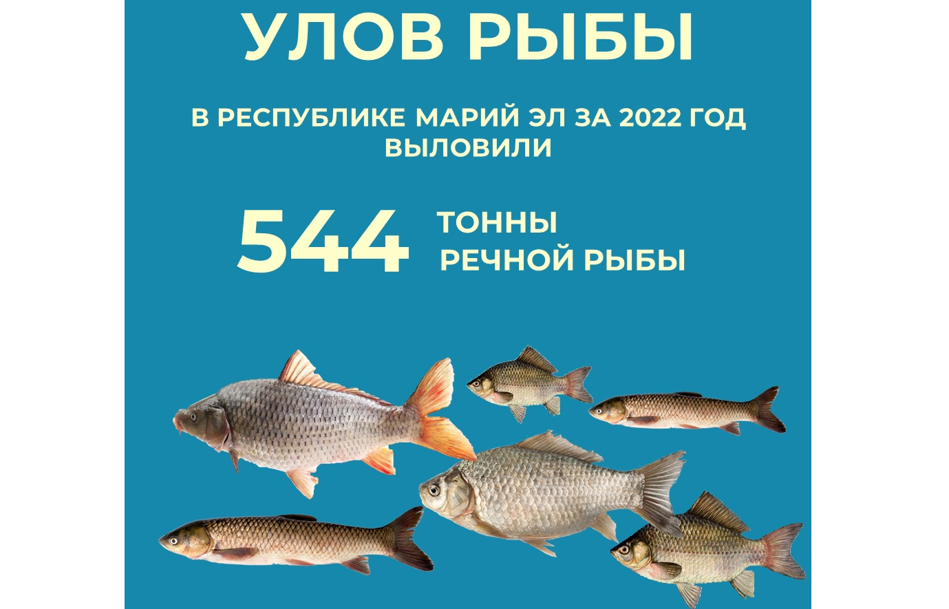 Рыболовные прогнозы на март 2022: где и как ловить рыбу?