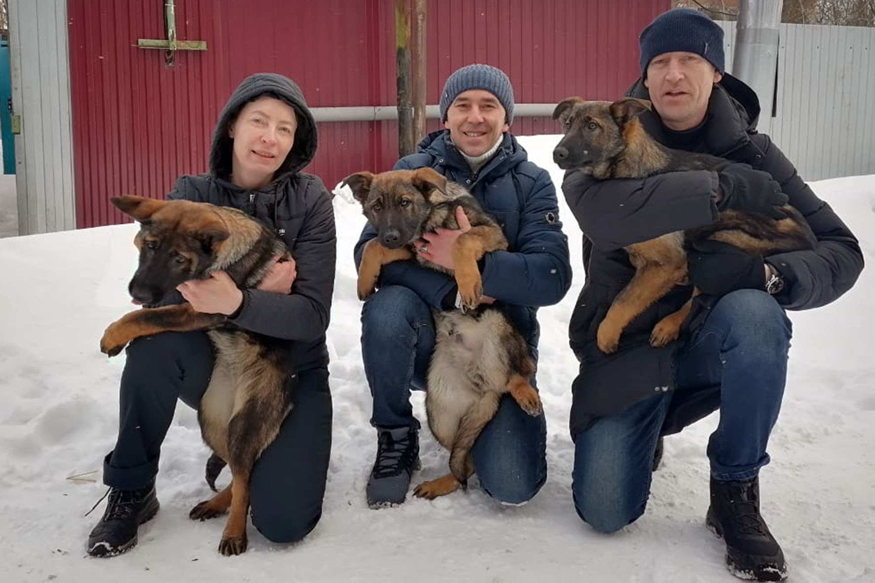 Три щенка немецкой овчарки пополнили «хвостатый» отряд охраны УФСИН Марий Эл