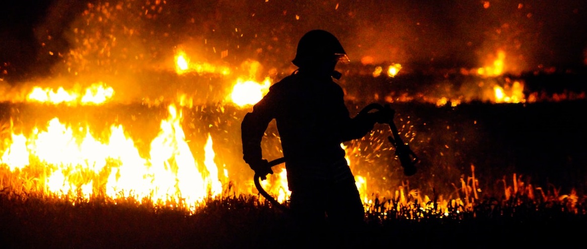 В лесах Марий Эл прогнозируют 5 класс пожароопасности