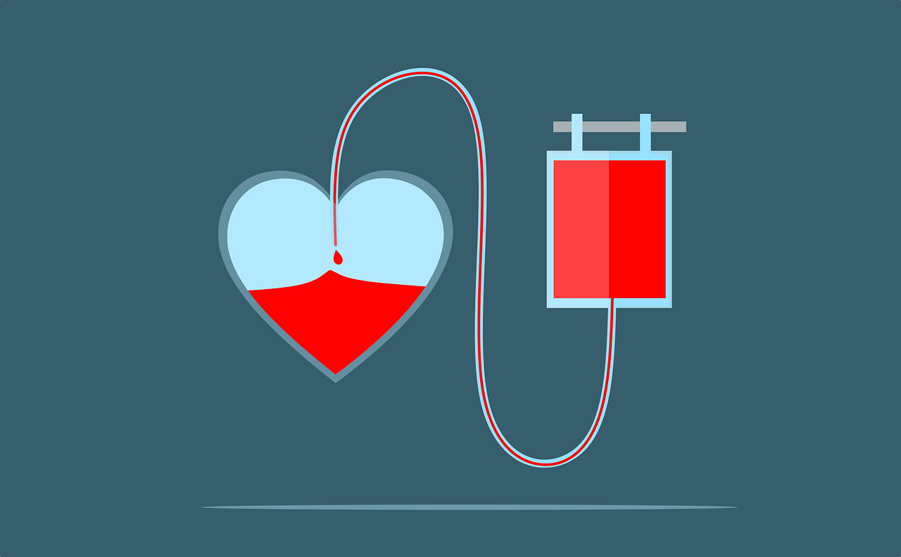 В Йошкар-Оле пройдет Национальный день донора крови 