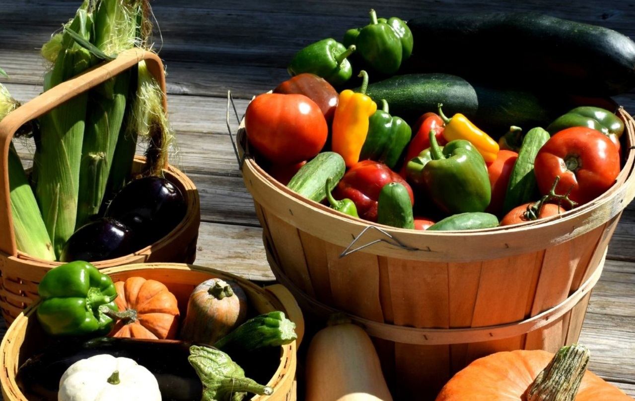 17 сентября в Йошкар-Оле пройдёт День садовода и огородника