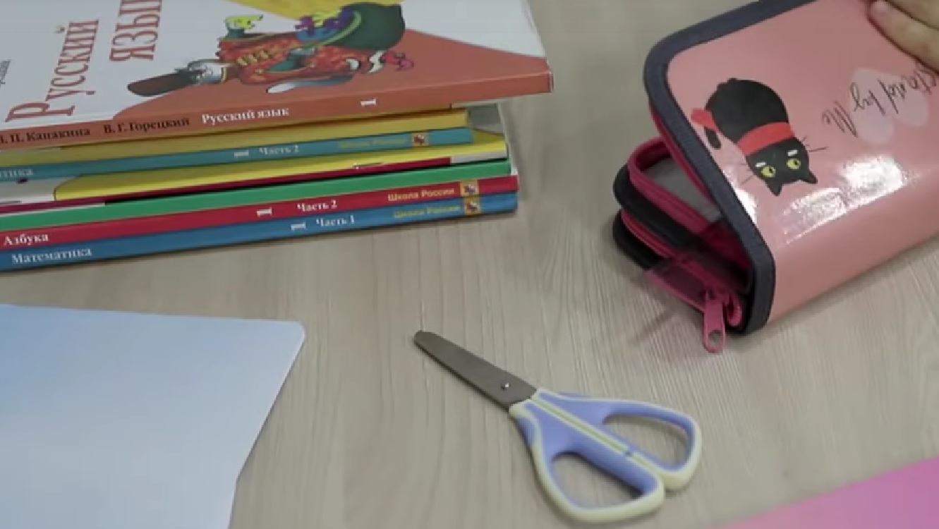 В Марий Эл стартовала благотворительная акция «Учебники детям Луганска»