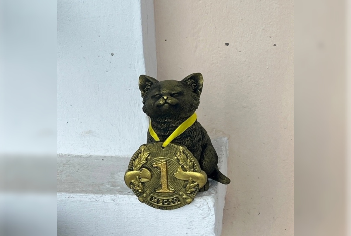 Жители и гости Йошкар-Олы могут потереть на удачу медальку нового спортивного котика 