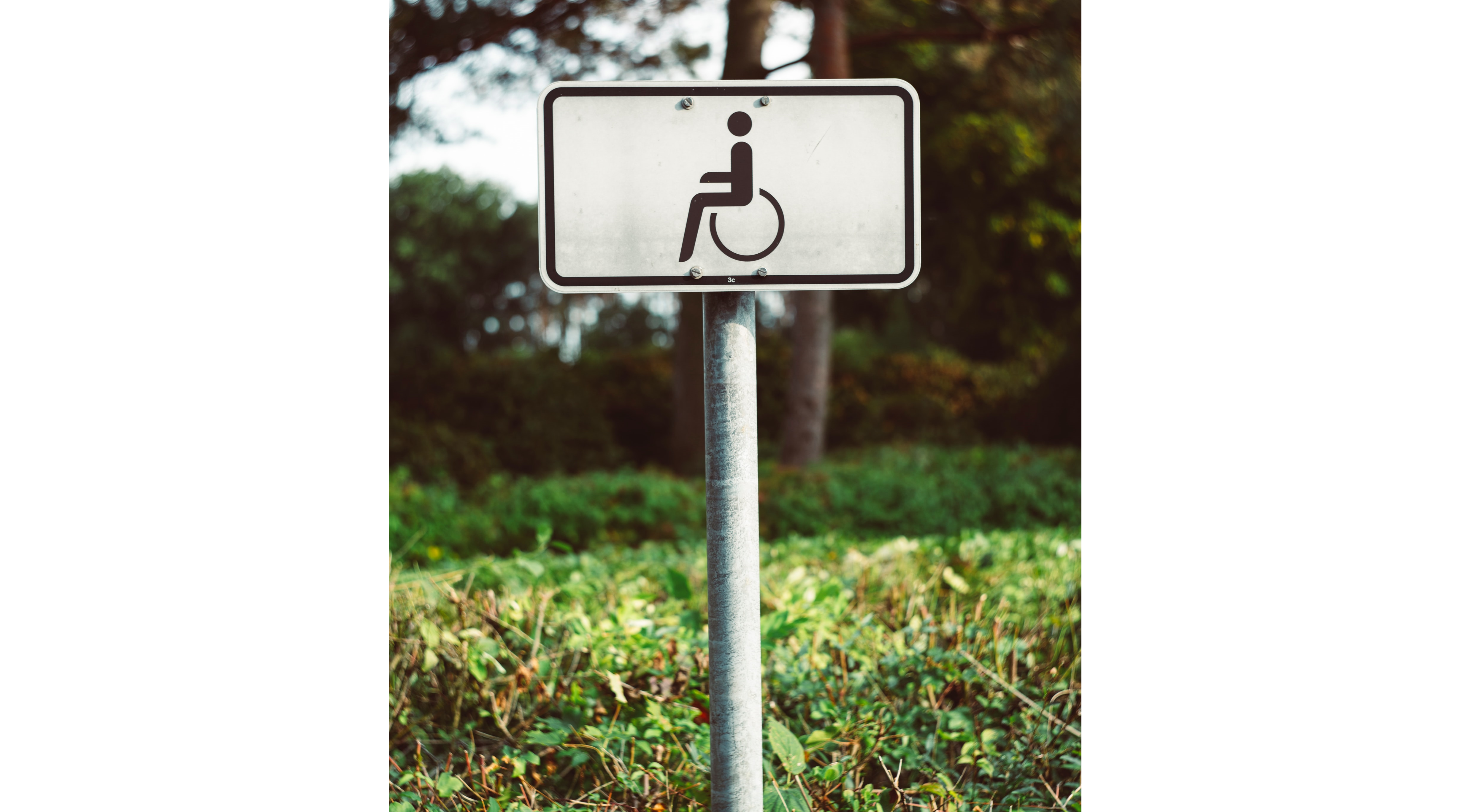 1500 инвалидов в Марий Эл получили право на бесплатную парковку